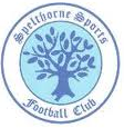 Spelthorne Sports F.C.